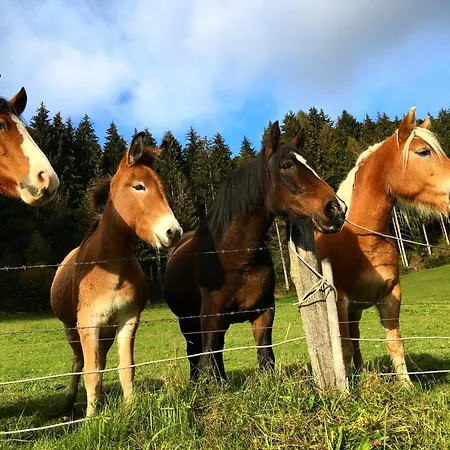 Kerschdorferhof - * Feldkirchen In Kaernten