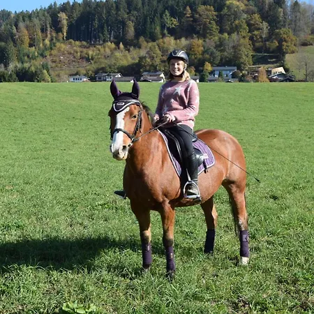 Kerschdorferhof - アパート Feldkirchen in Kärnten